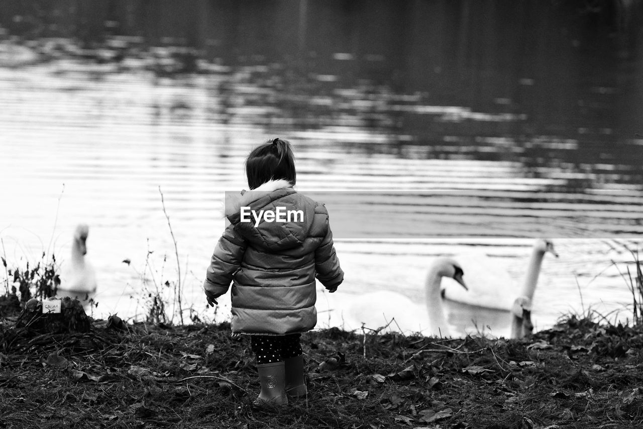 Winter explorer sees swans for the first time