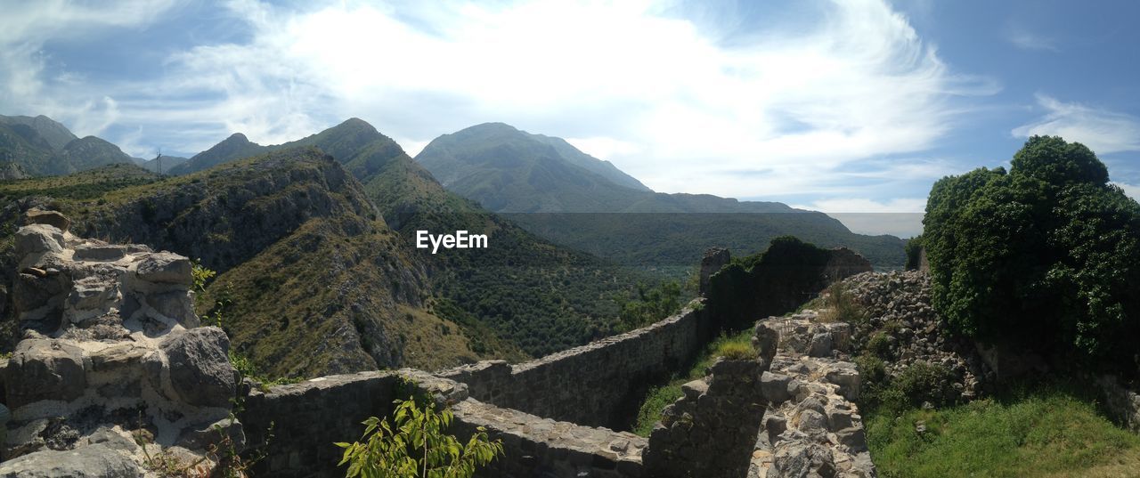 PANORAMIC VIEW OF TREES ON MOUNTAIN