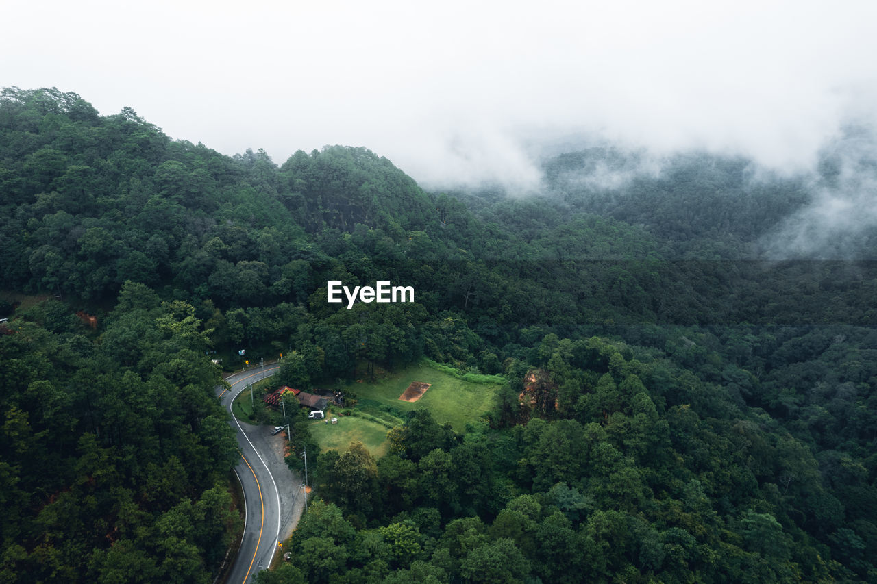 High angle view of road amidst trees in forest