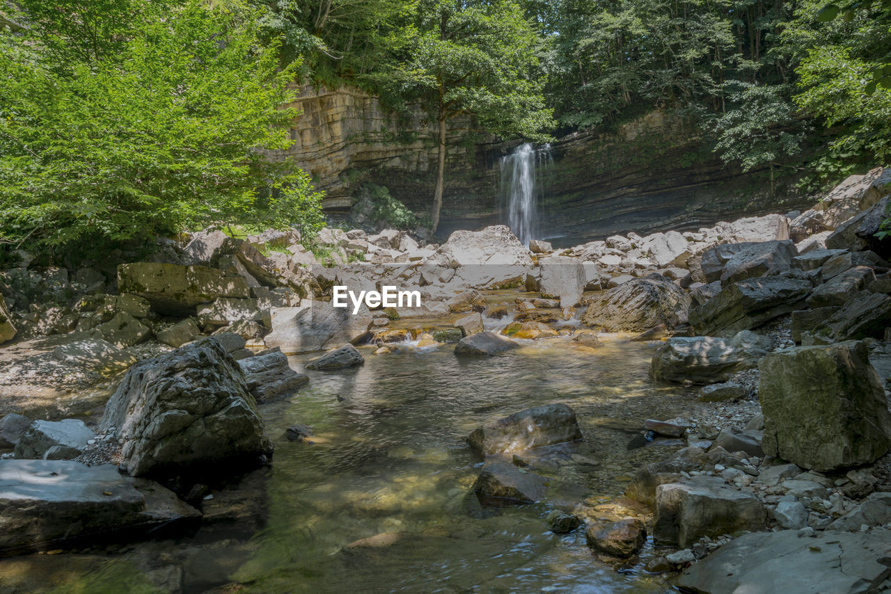 WATER FLOWING THROUGH ROCKS IN FOREST