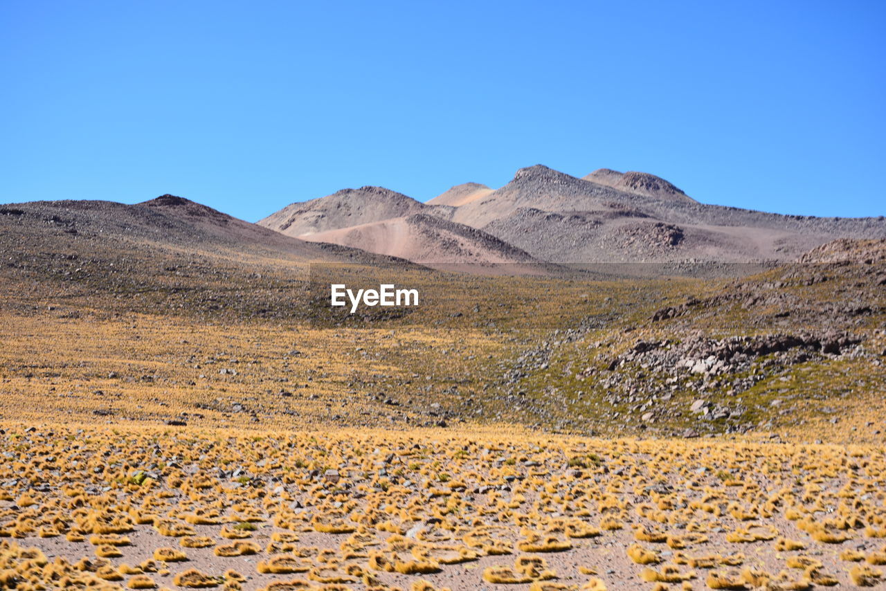 Scenic view of desert against clear blue sky