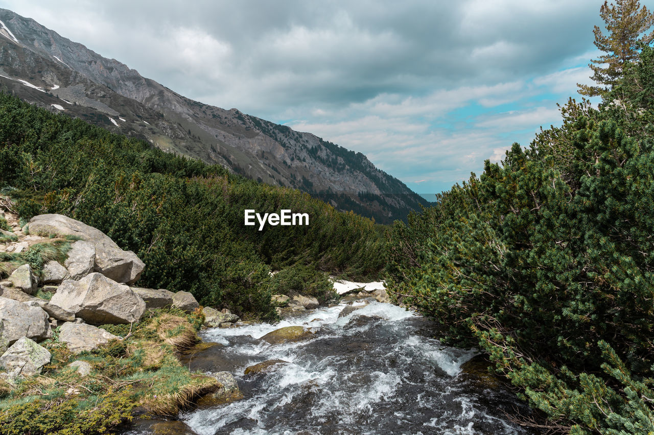 Landscape with river in pirin mountain near okoto lake, bulgaria