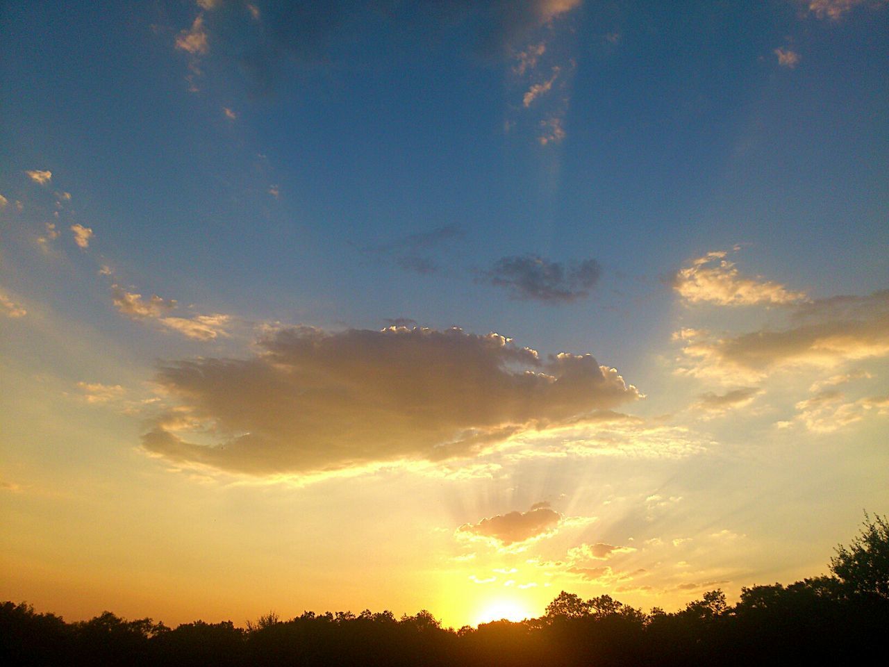 Silhouette trees against sky during sunset