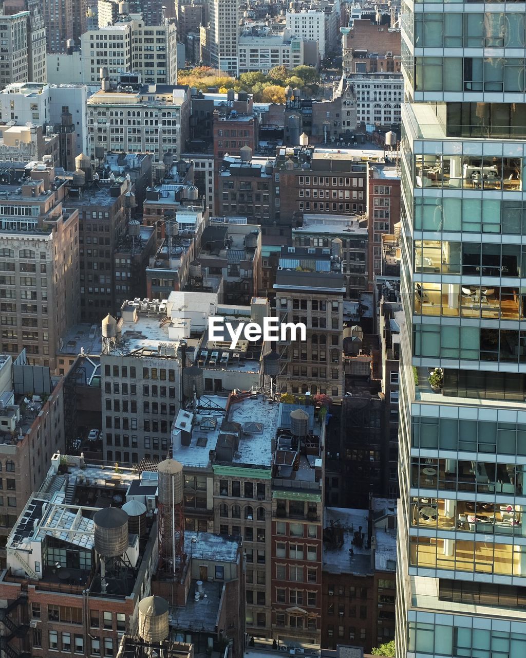 Buildings in new york city