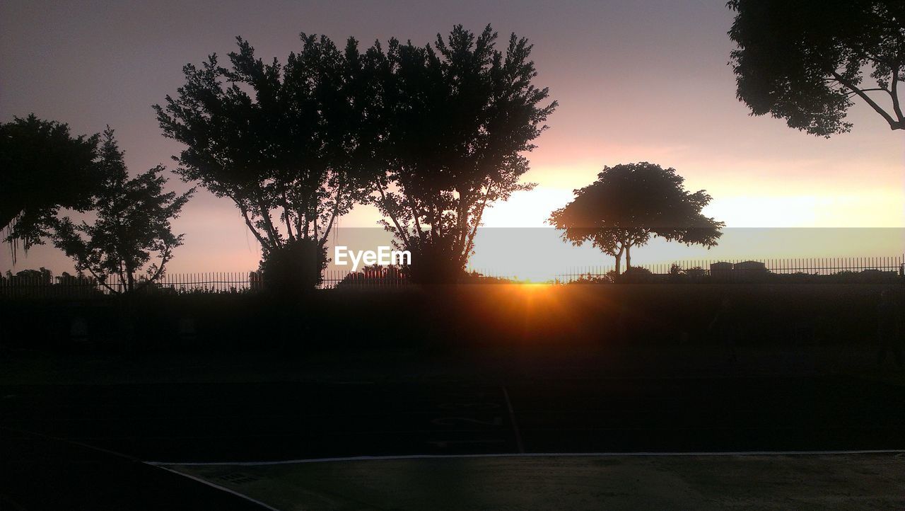 Silhouette of trees in running track against sunset