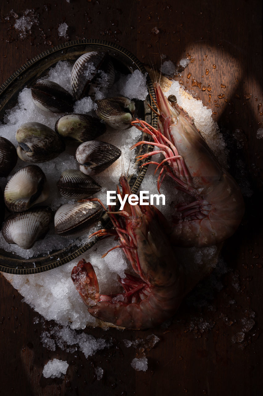 food, food and drink, seafood, freshness, crustacean, raw food, healthy eating, animal, wellbeing, shellfish, no people, indoors, high angle view, dark, studio shot, wood, fish, directly above