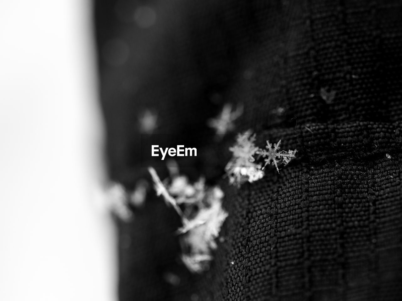 CLOSE-UP OF SNOWFLAKES ON FLOOR