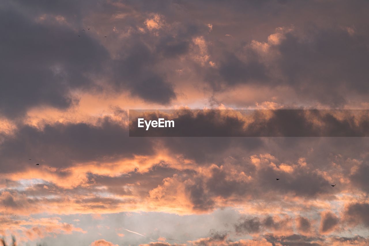 Low angle view of sky during sunset