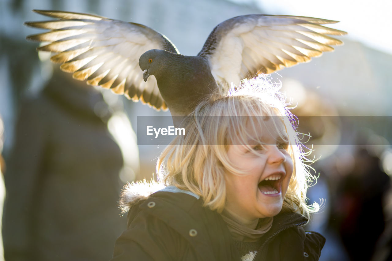Close-up of pigeon landing on girl