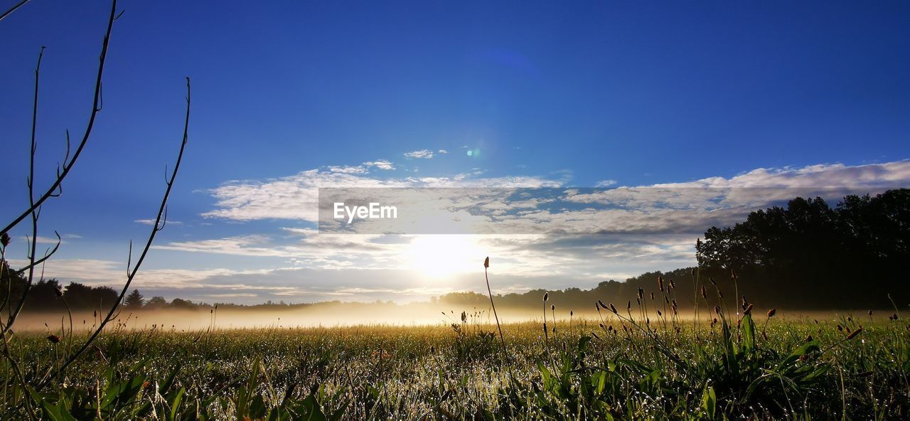 Scenic view of field against sky during sunset