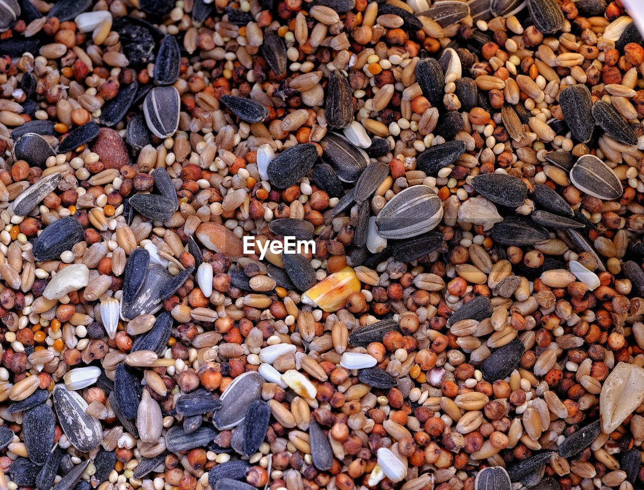 HIGH ANGLE VIEW OF STONES ON BEACH