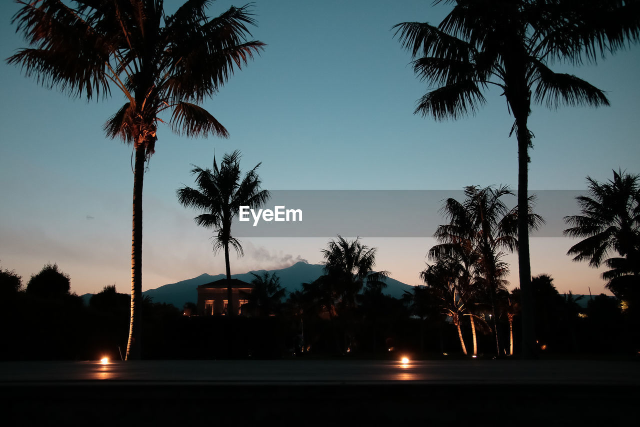 Silhouette palm trees against sky at night