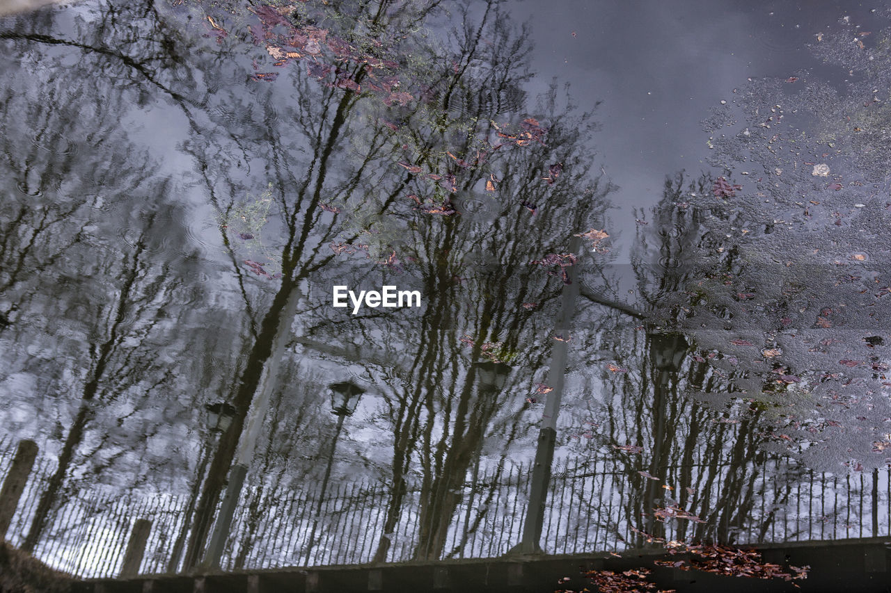 LOW ANGLE VIEW OF BRANCHES AGAINST SKY