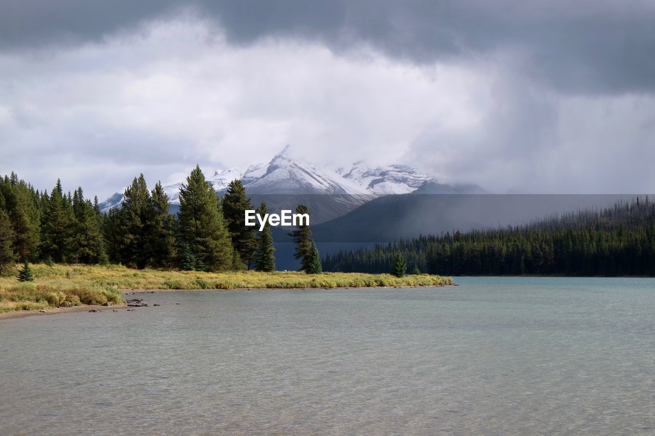 Scenic view of lake by trees against sky