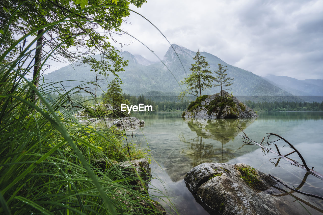 SCENIC VIEW OF LAKE BY TREES AGAINST SKY