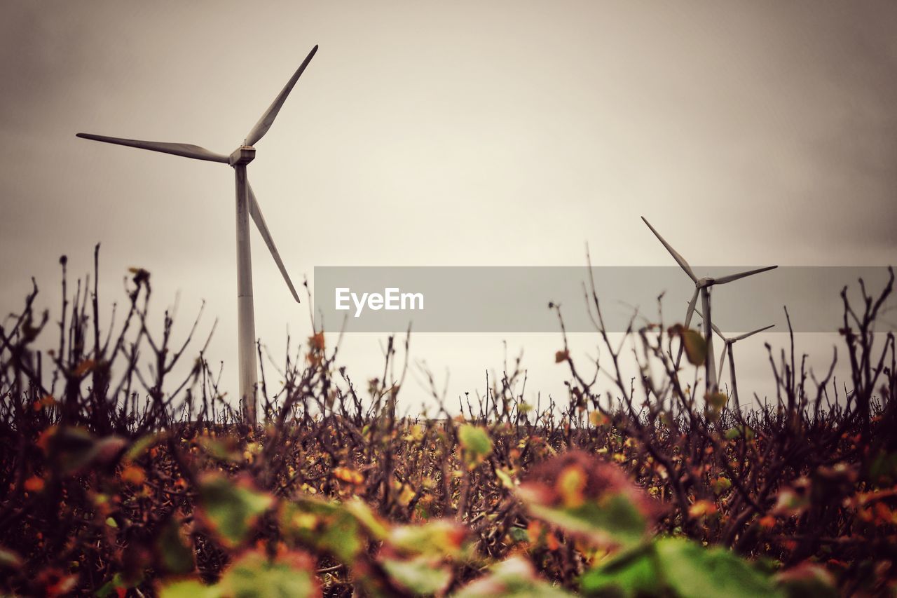 WIND TURBINES ON FIELD