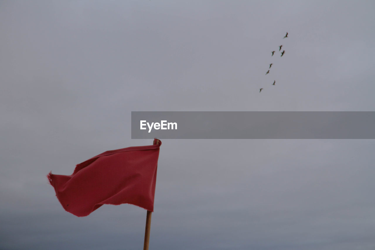 Low angle view of flag waving against birds flying in sky