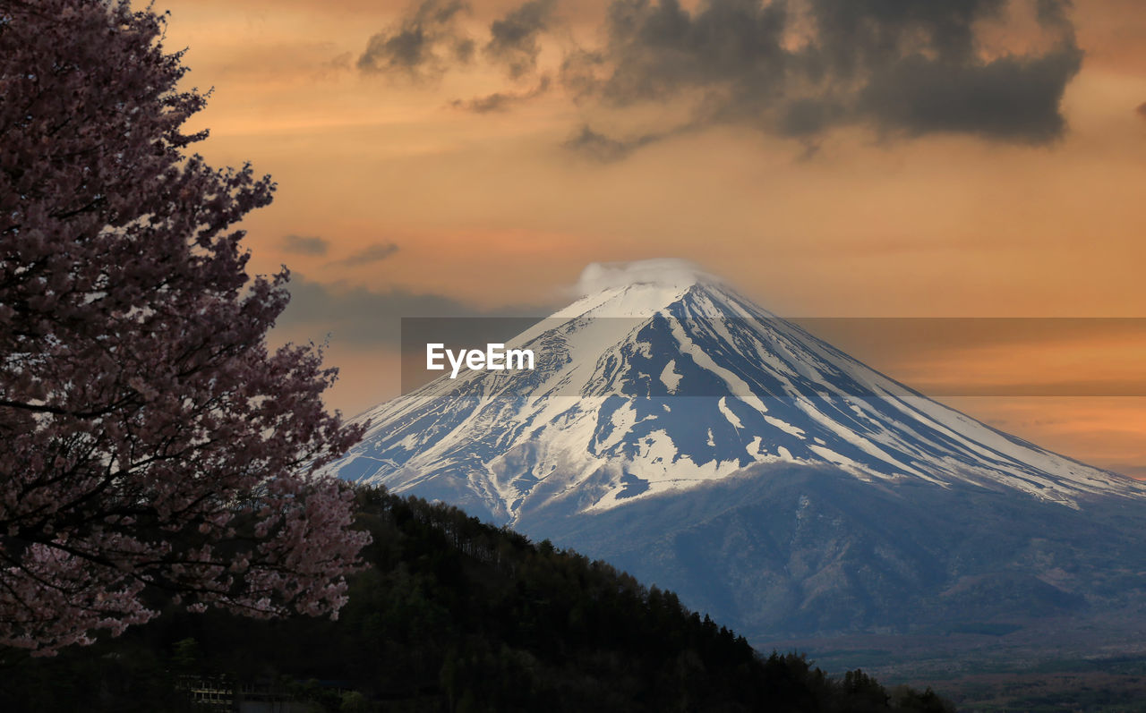 Mount fuji and sakura tree in blooming,scenery of mount fuji in the evening sky at sunset.