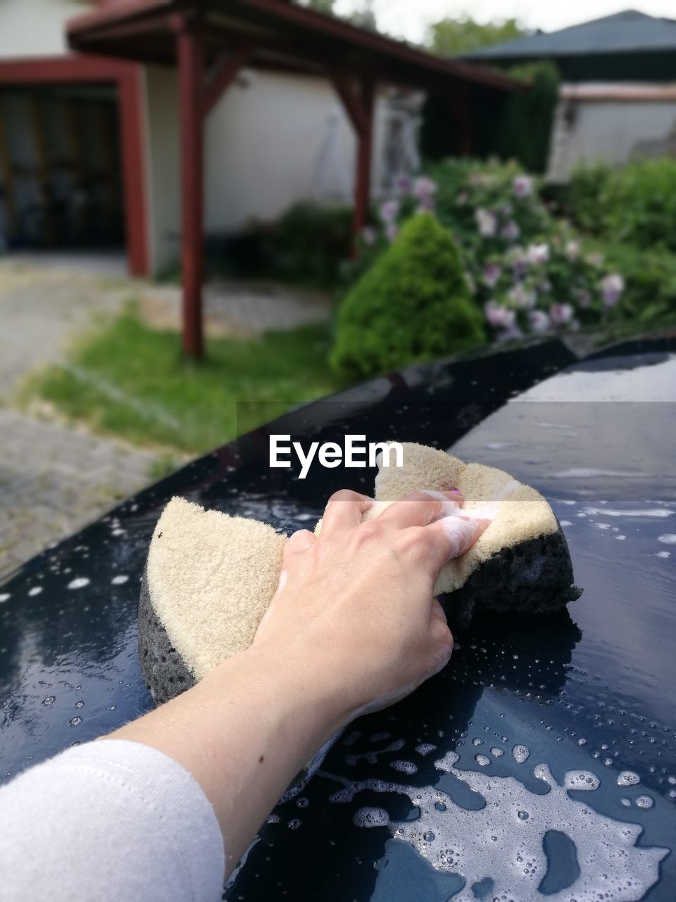 Close-up of hand holding sponge to do car washing in garden