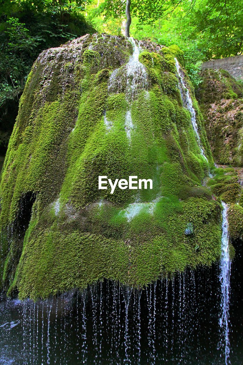 Low angle view of waterfall over moss covered rocks