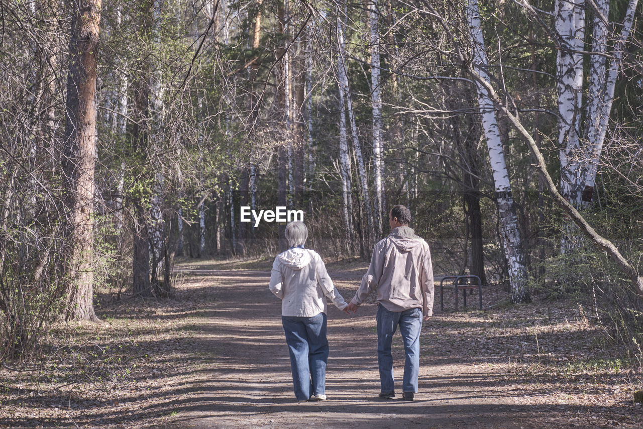 Elderly interracial couple  walking in a spring forest park holding hands. view from the back.