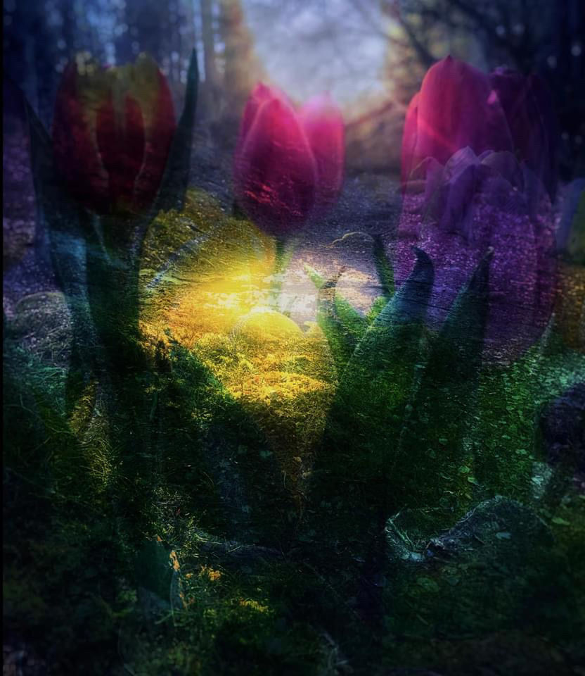 multi colored, painting, auto post production filter, no people, transfer print, close-up, flower, nature, backgrounds, sunlight, outdoors, screenshot, plant, reflection, creativity, day