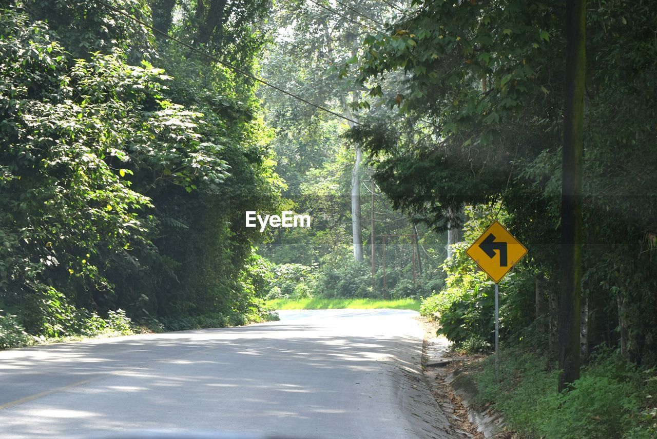 Road amidst trees in forest