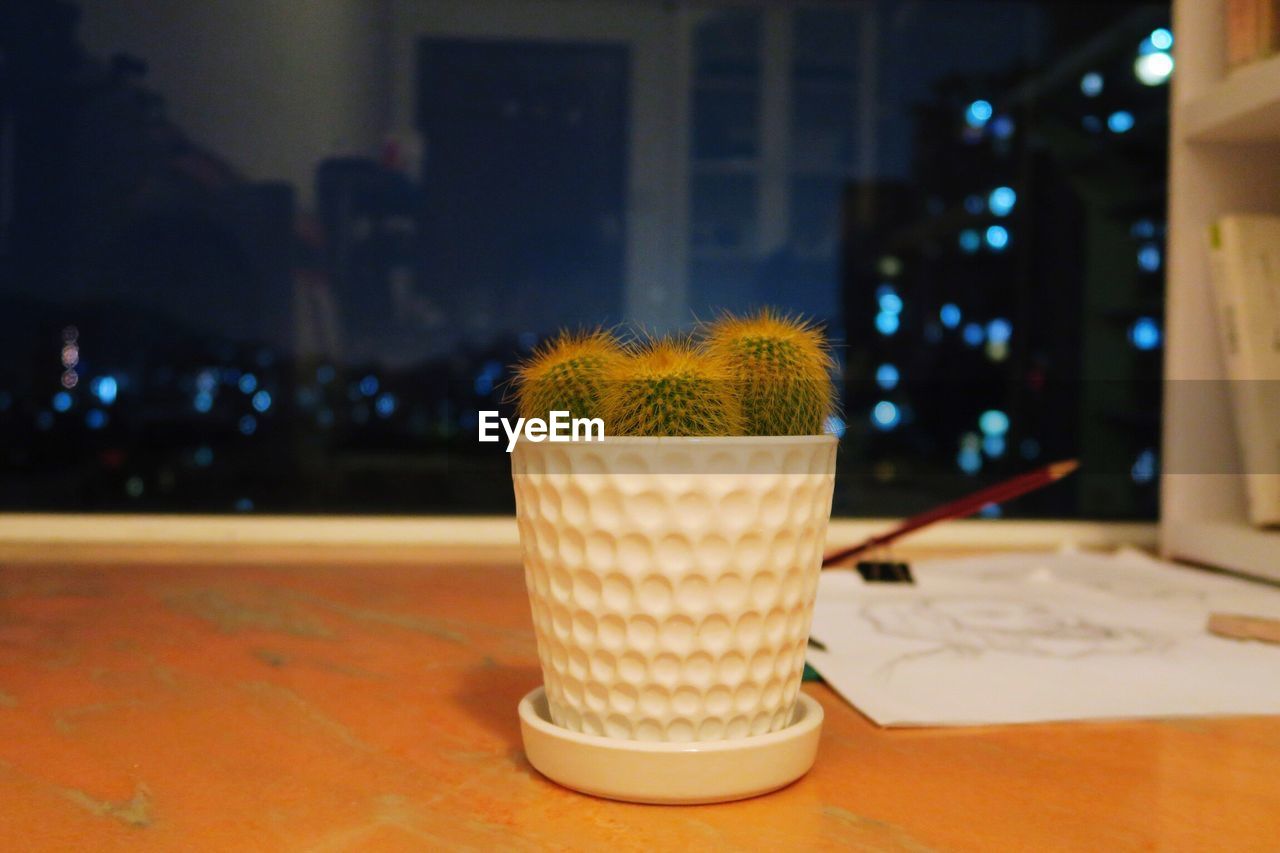 Close-up of potted plant on table by window at night