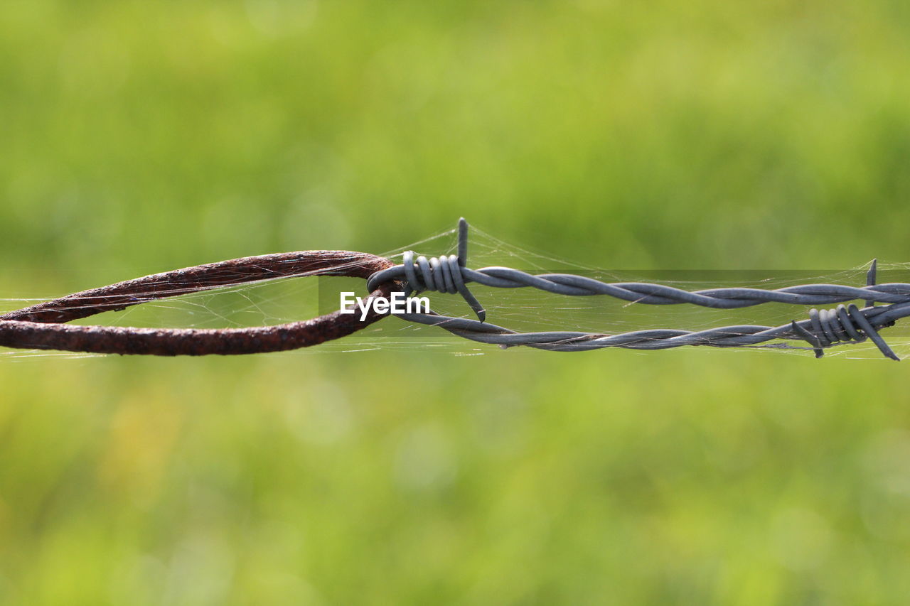 Close-up of barbed wire