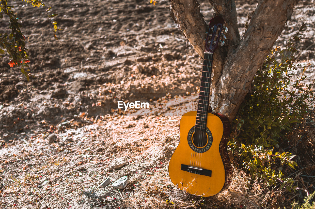 CLOSE-UP OF GUITAR ON TREE TRUNK IN FIELD