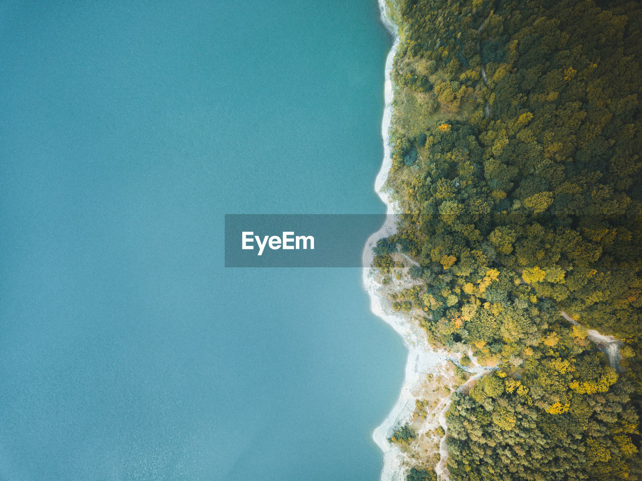 Aerial view of trees by sea