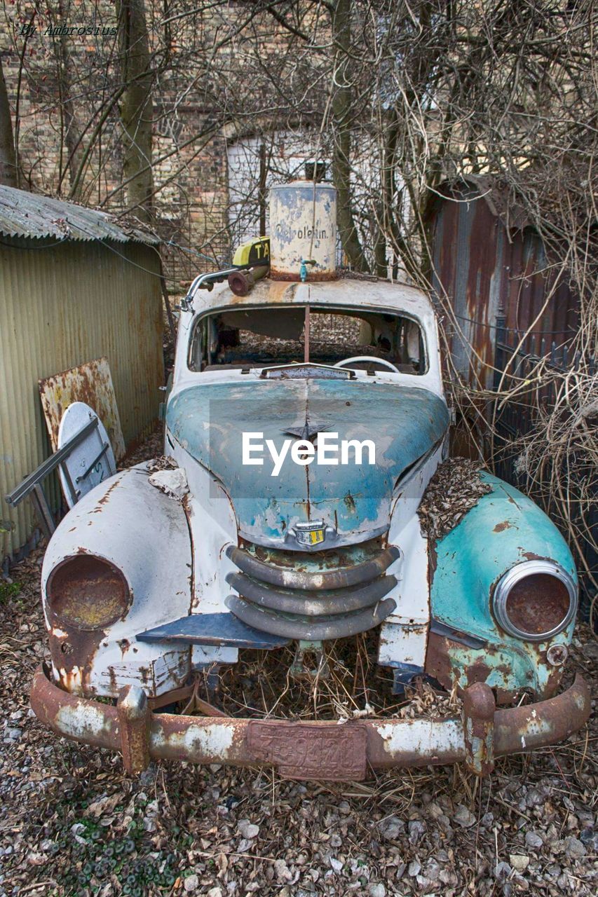 ABANDONED VINTAGE CAR BY TREE