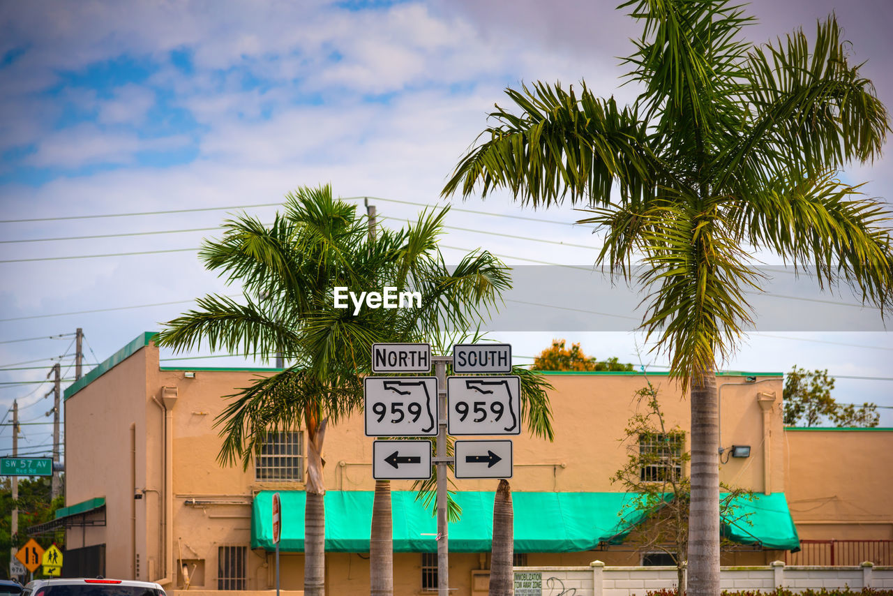 LOW ANGLE VIEW OF PALM TREE AGAINST BUILDING