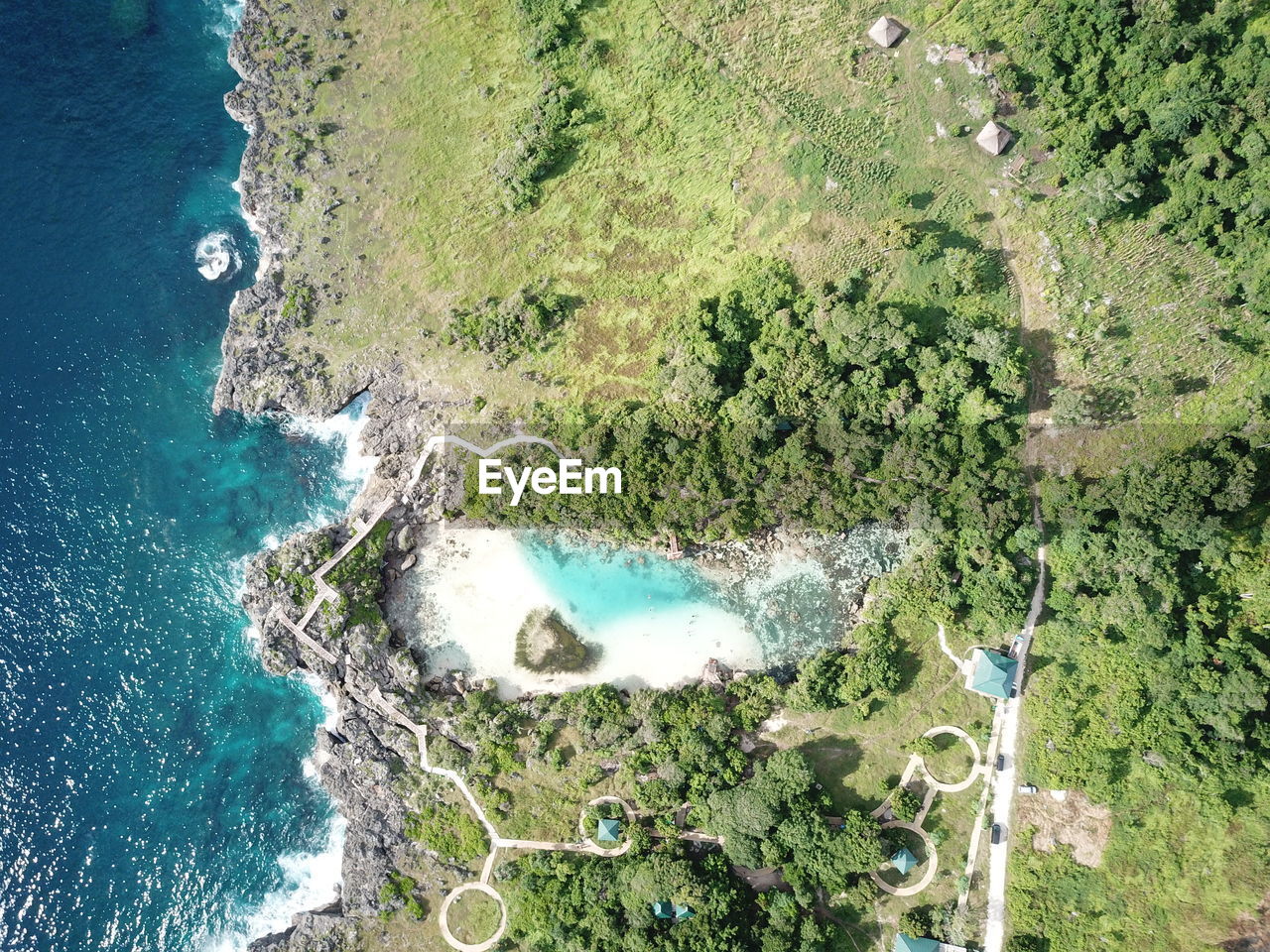 High angle view of trees on beach