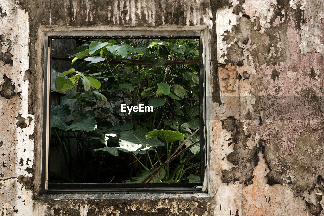 CLOSE-UP OF WINDOW OF BUILDING