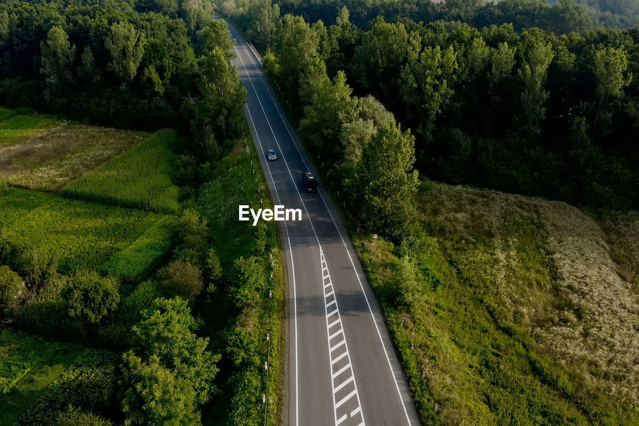 high angle view of road amidst plants