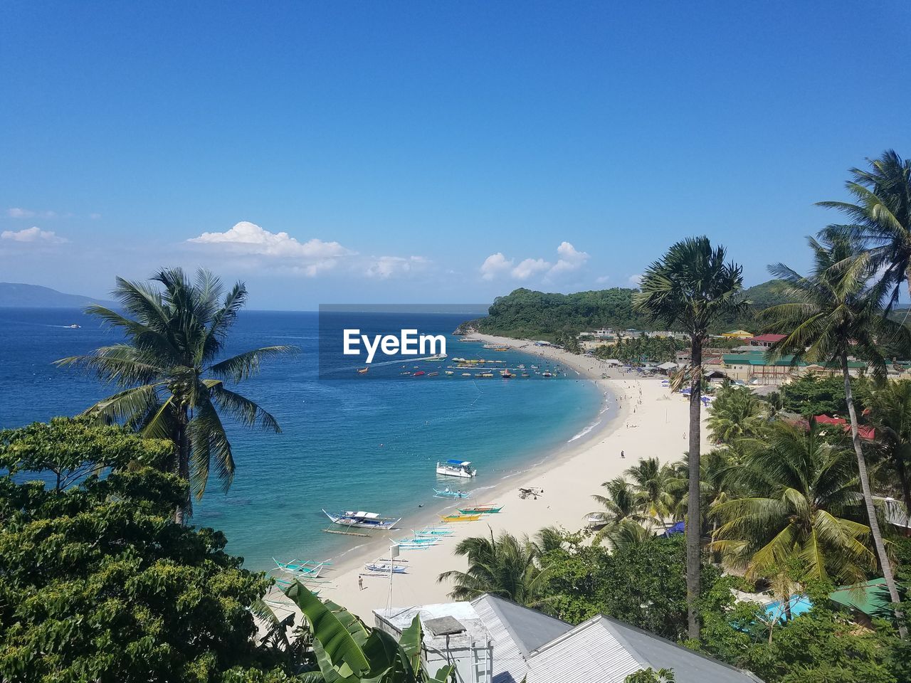 Palm trees at beach against blue sky