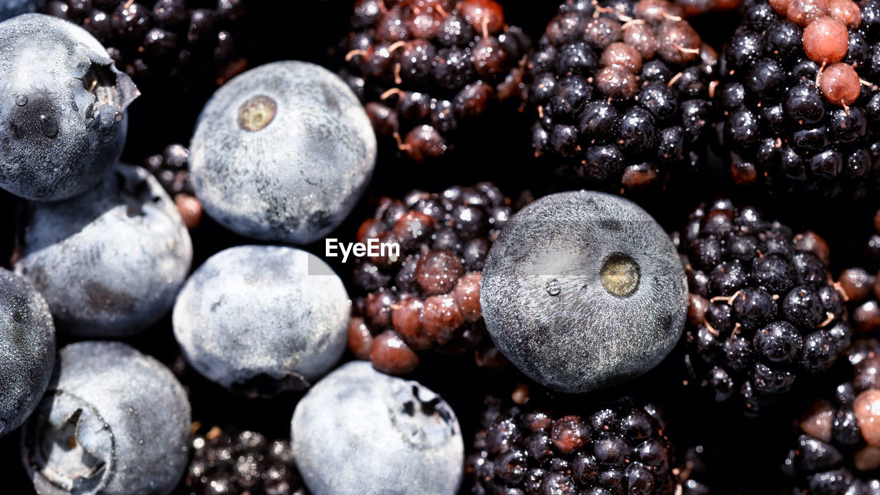 FULL FRAME SHOT OF FRUITS IN CONTAINER