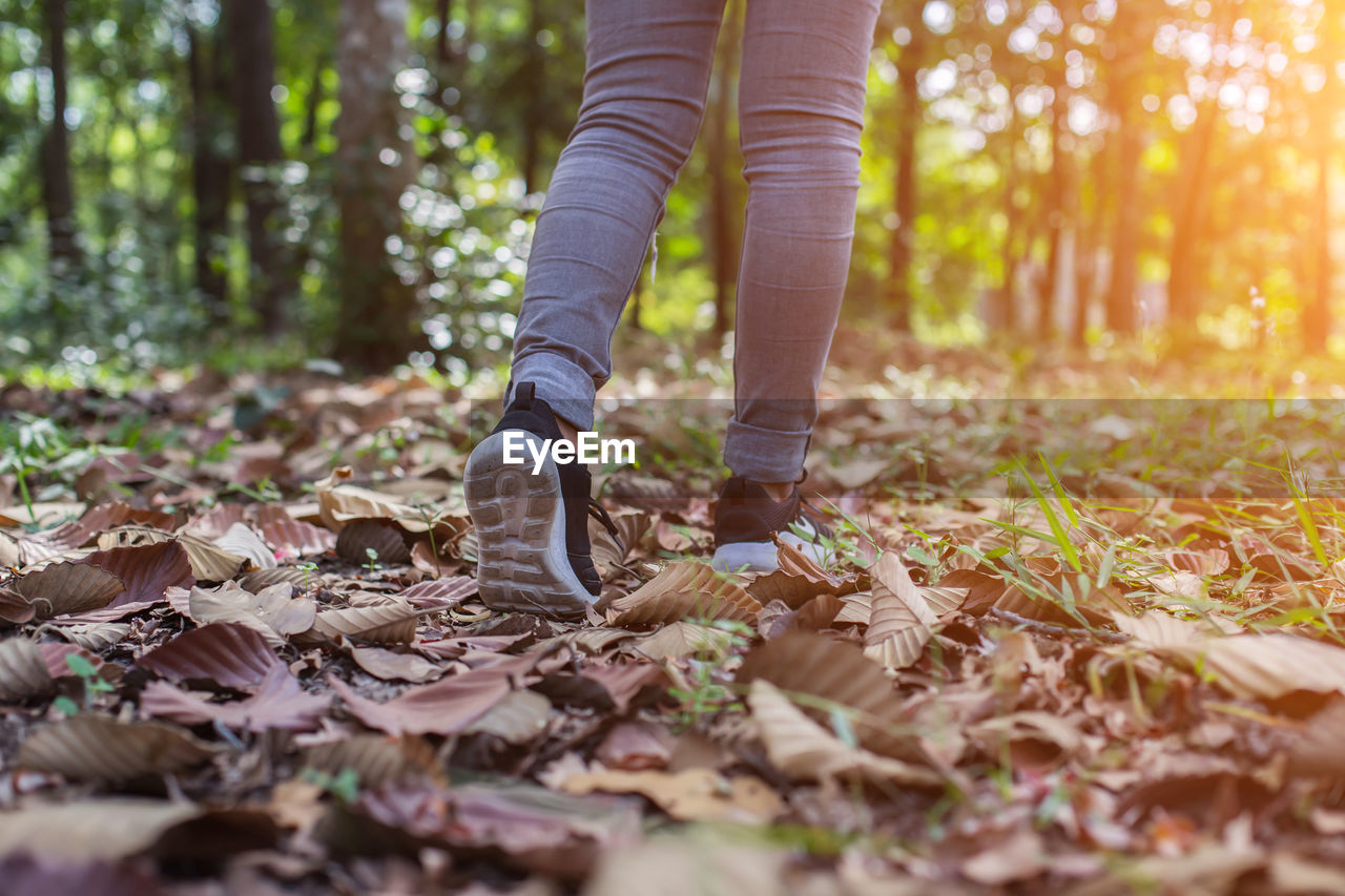 Low section of woman walking on autumn leaves in forest