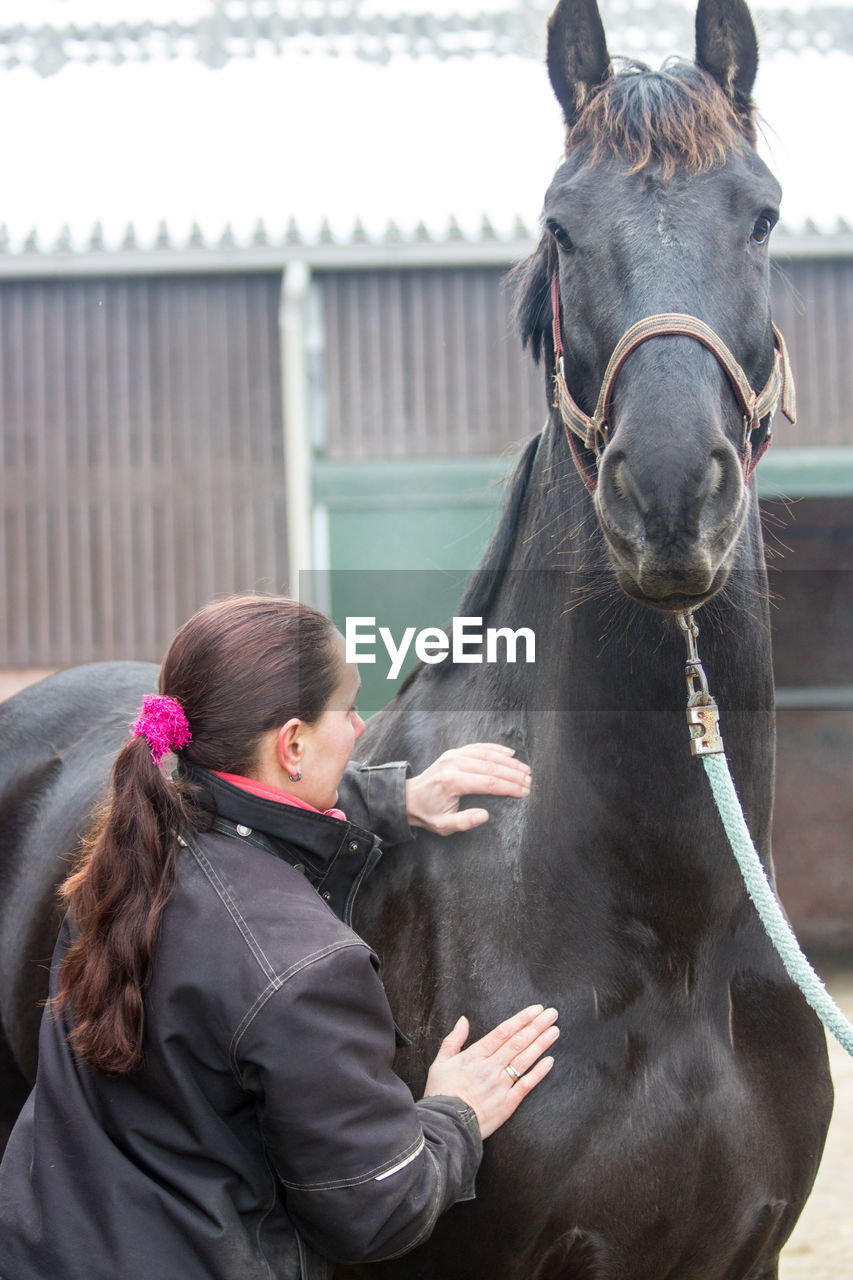 CLOSE-UP OF HAND HOLDING HORSE