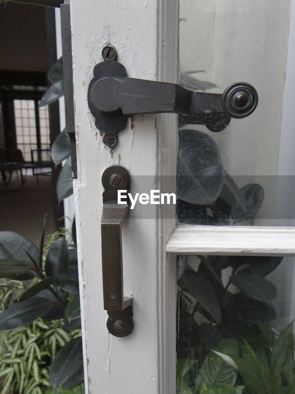 Close-up of door by plants