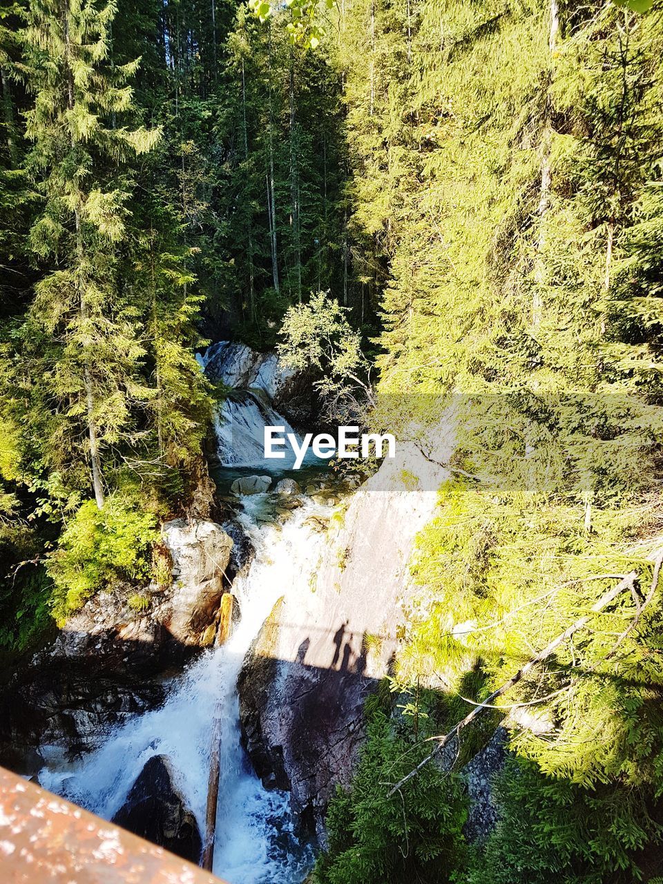 SCENIC VIEW OF STREAM FLOWING THROUGH FOREST