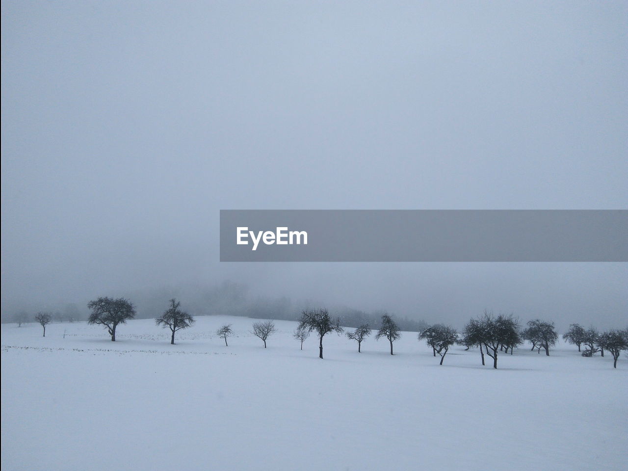 Trees on snow covered landscape against clear sky