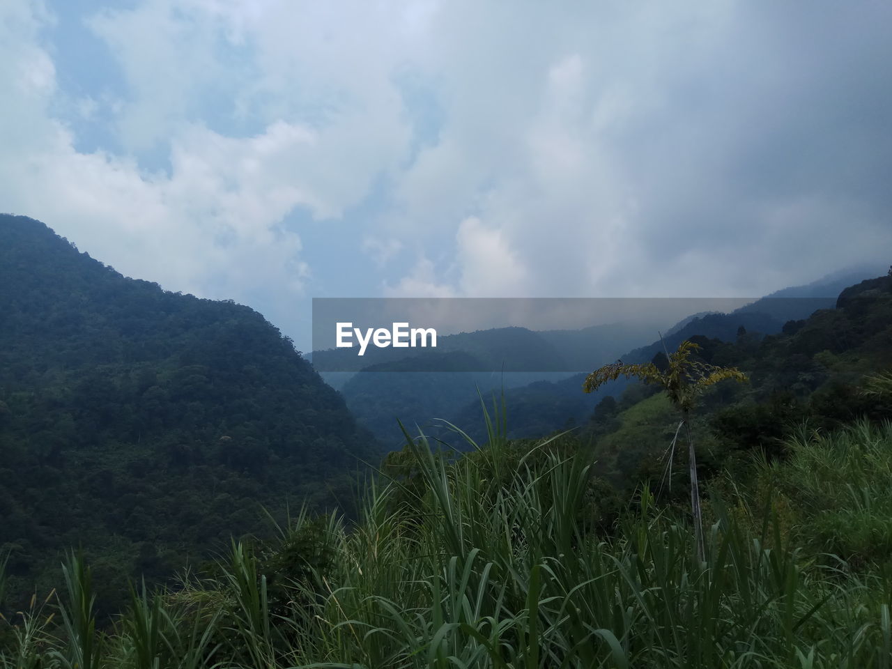 SCENIC VIEW OF LAND AGAINST SKY