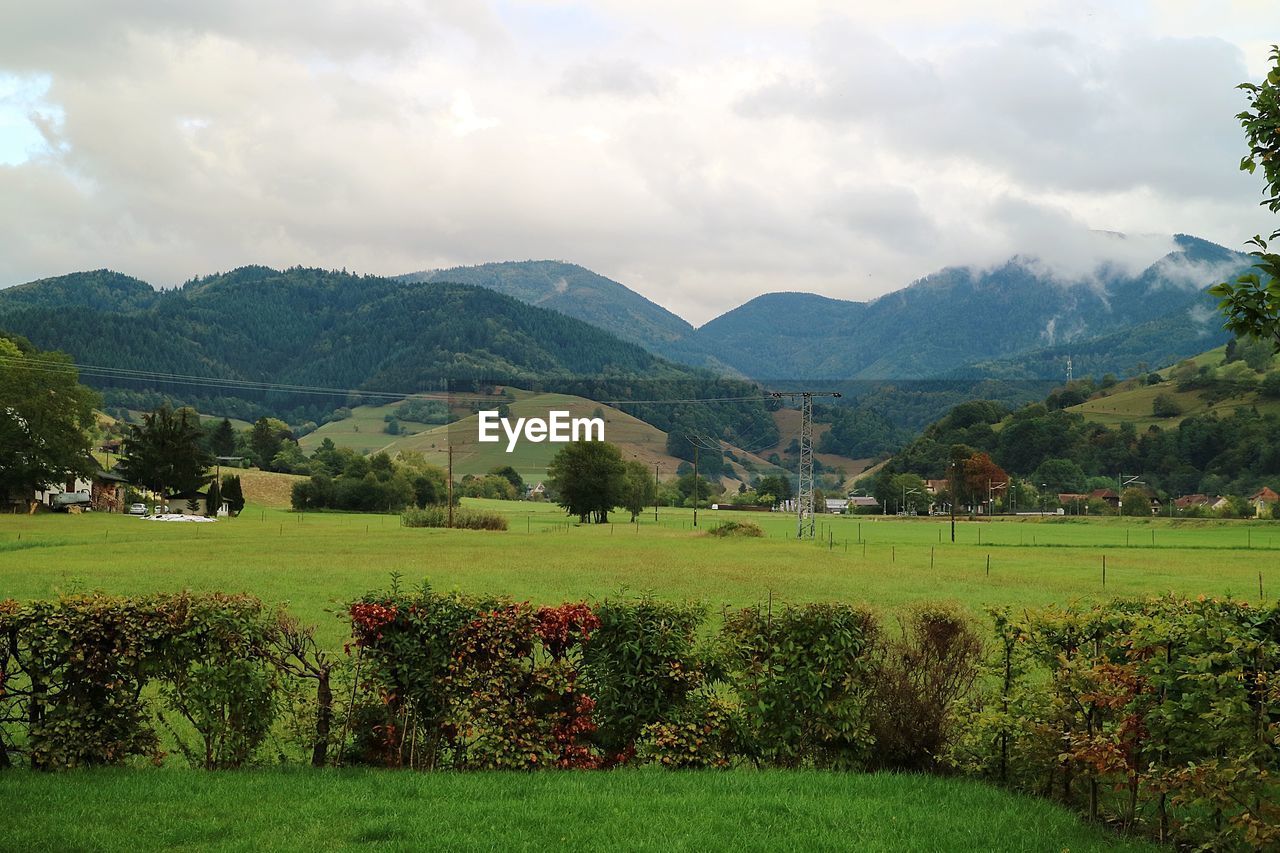 Scenic view of field against mountains