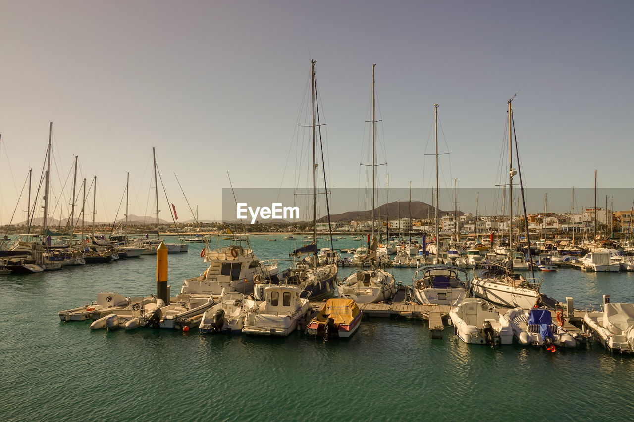 SAILBOATS IN MARINA