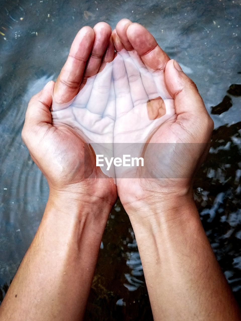 Cropped hands of man holding water