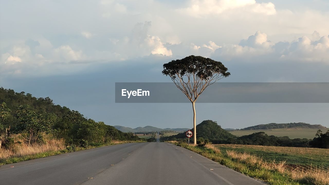 ROAD AMIDST PLANTS AGAINST SKY