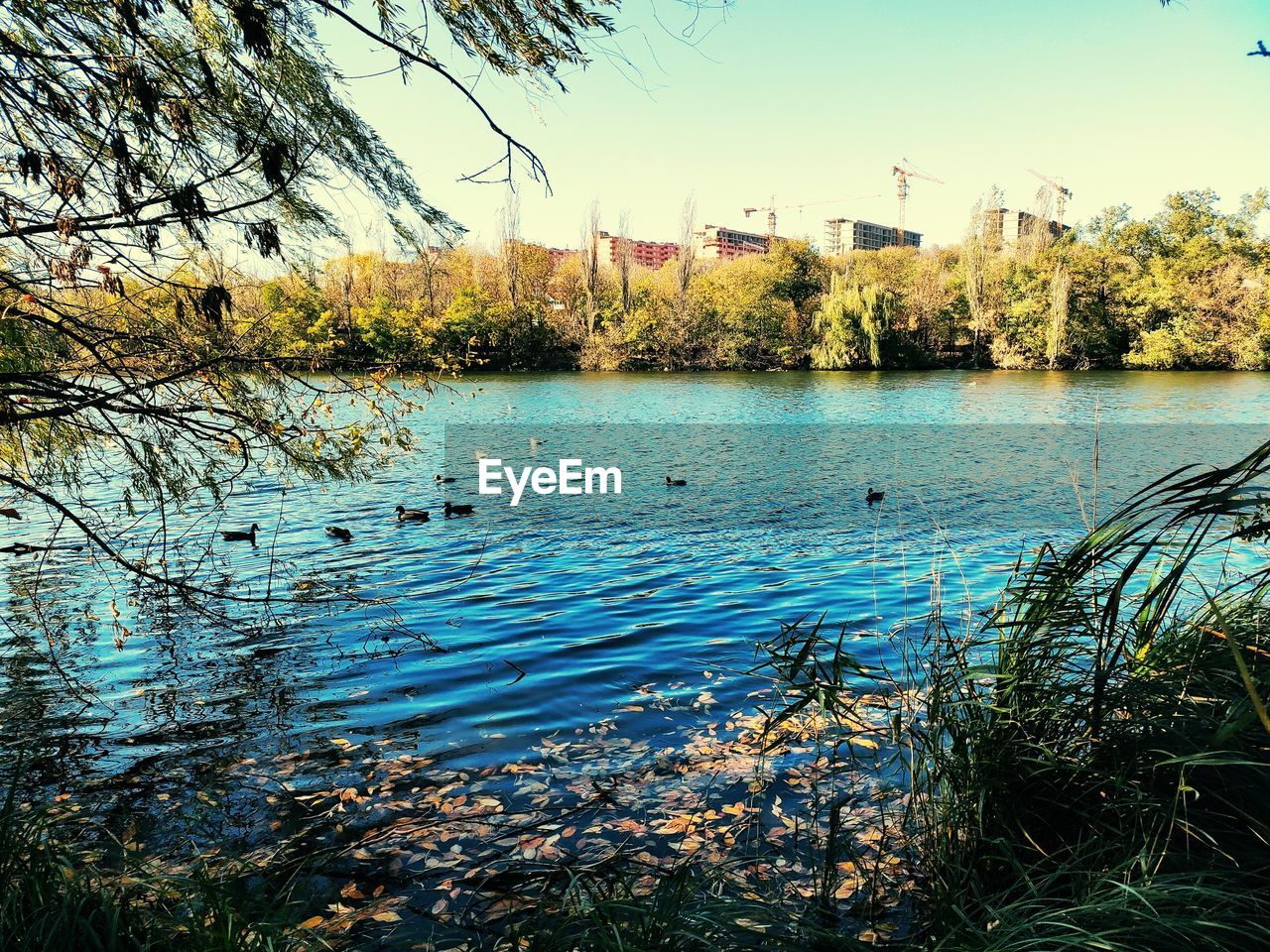 LAKE AGAINST CLEAR SKY