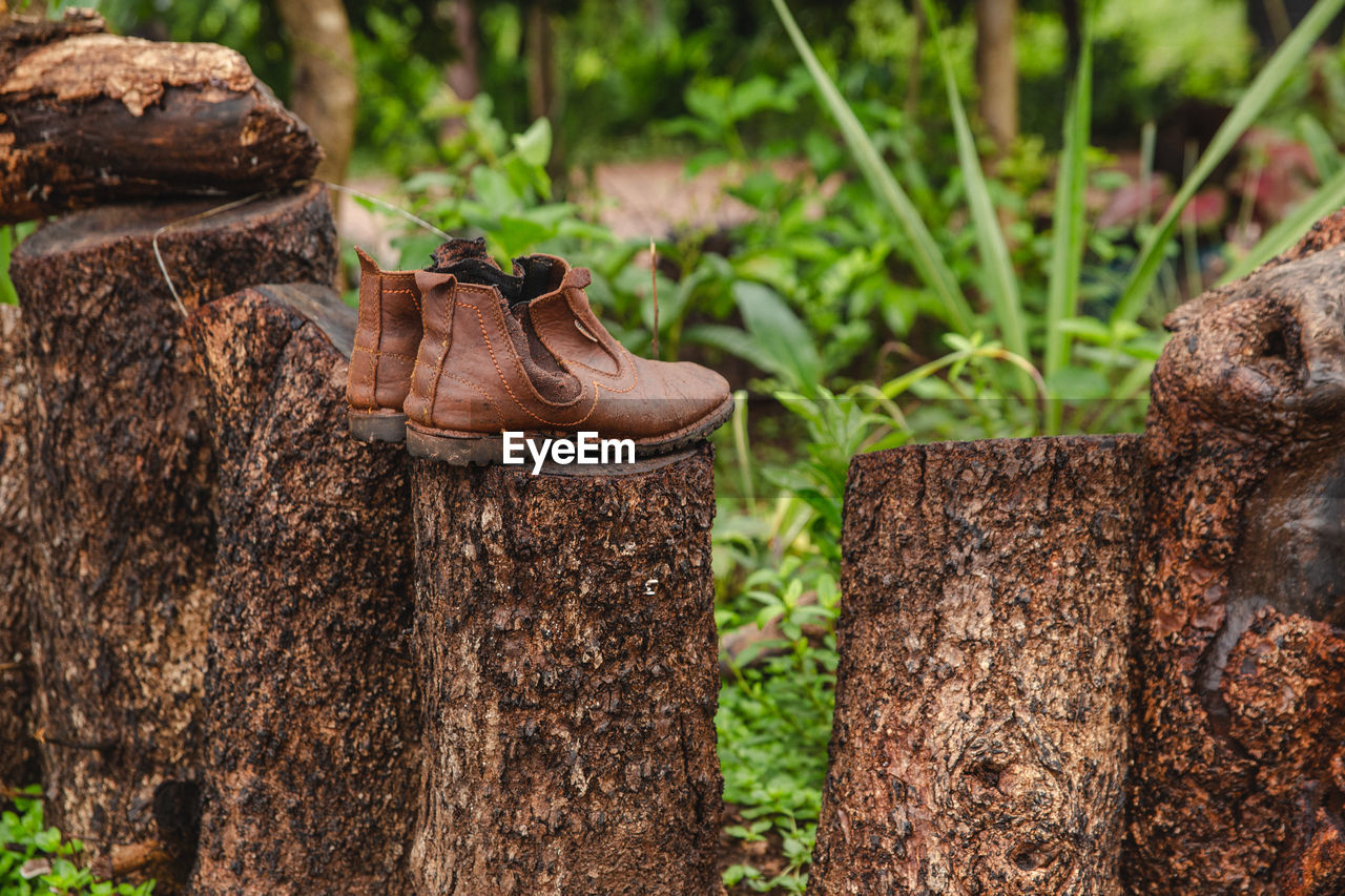 Close-up of boots on old tree trunk in forest